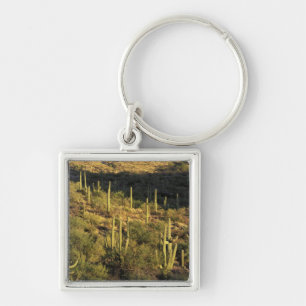 North America, USA, Arizona, Sonoran Desert Key Ring