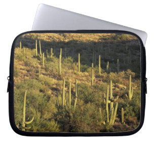 North America, USA, Arizona, Sonoran Desert Laptop Sleeve