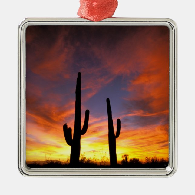 North America, USA, Arizona, Sonoran Desert. Metal Ornament (Front)