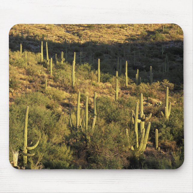 North America, USA, Arizona, Sonoran Desert Mouse Pad (Front)