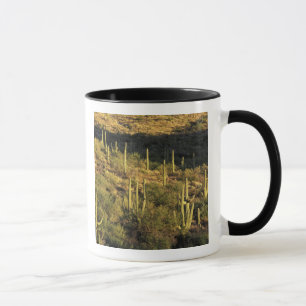 North America, USA, Arizona, Sonoran Desert Mug