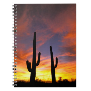 North America, USA, Arizona, Sonoran Desert. Notebook