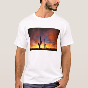 North America, USA, Arizona, Sonoran Desert. T-Shirt