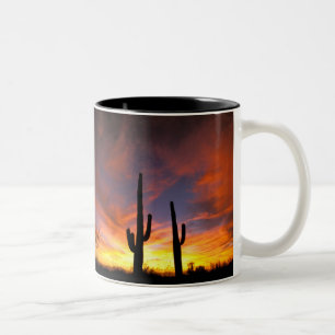 North America, USA, Arizona, Sonoran Desert. Two-Tone Coffee Mug