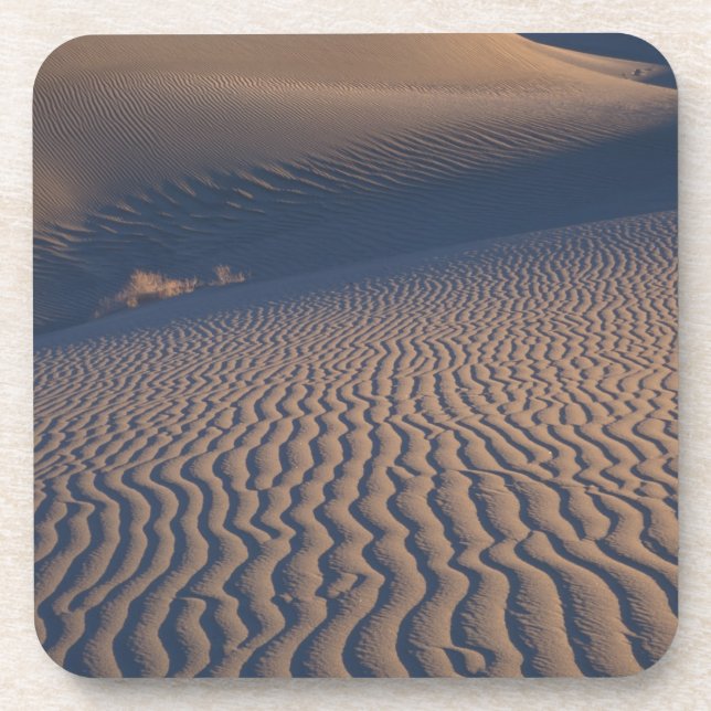 North America, USA, Califorinia, Death Valley Coaster (Front)