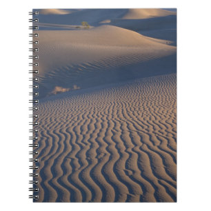 North America, USA, Califorinia, Death Valley Notebook