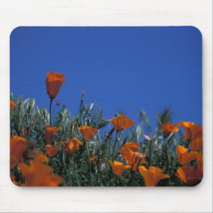 North America, USA, California, Antelope Valley, 3 Mouse Pad