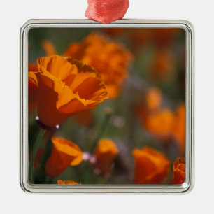 North America, USA, California, Antelope Valley, Metal Ornament