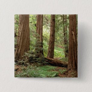 North America, USA, California, Big Sur, 15 Cm Square Badge