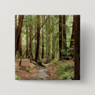 North America, USA, California, Big Sur, 3 15 Cm Square Badge