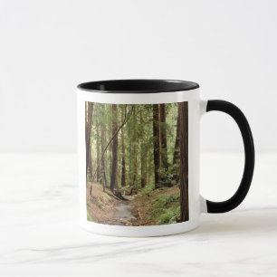 North America, USA, California, Big Sur, 3 Mug