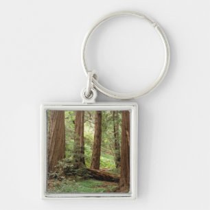 North America, USA, California, Big Sur, Key Ring