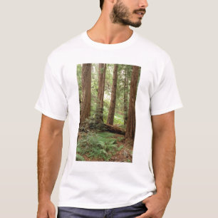 North America, USA, California, Big Sur, T-Shirt