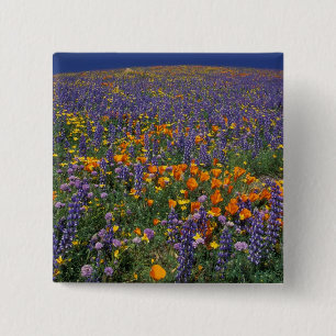 North America, USA, California, Los Angeles 2 15 Cm Square Badge