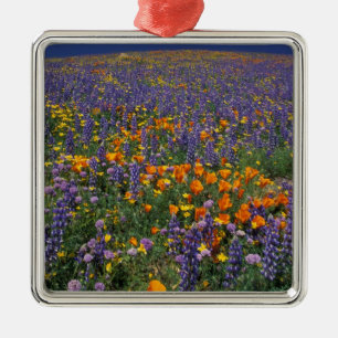 North America, USA, California, Los Angeles 2 Metal Tree Decoration