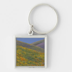 North America, USA, California, Los Angeles Key Ring