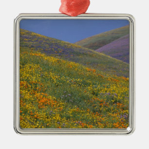 North America, USA, California, Los Angeles Metal Ornament