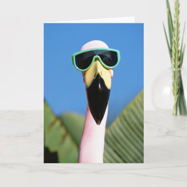 North America, USA, California, San Diego. Sea Card (Front)