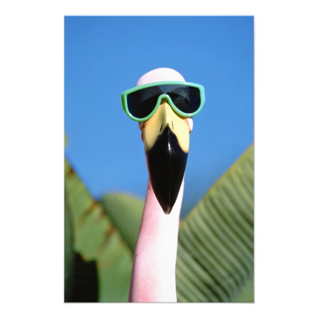 North America, USA, California, San Diego. Sea Photo Print (Front)