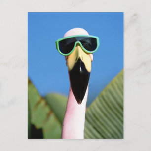 North America, USA, California, San Diego. Sea Postcard