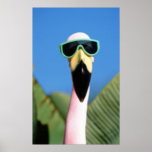 North America, USA, California, San Diego. Sea Poster