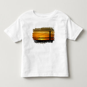 North America, USA, California, San Francisco. 3 Toddler T-Shirt