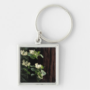 North America, USA, California, Yosemite 2 Key Ring