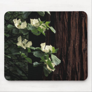 North America, USA, California, Yosemite 2 Mouse Pad