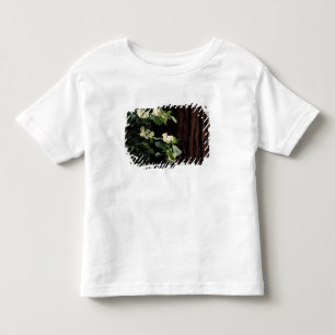 North America, USA, California, Yosemite 2 Toddler T-Shirt