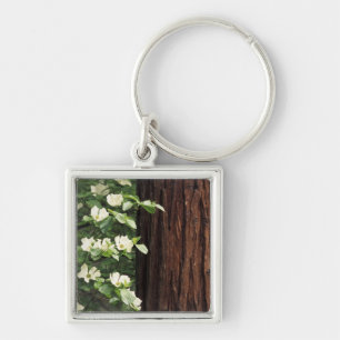 North America, USA, California, Yosemite 3 Key Ring