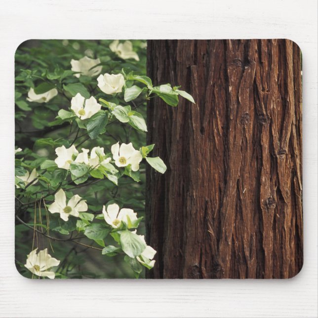 North America, USA, California, Yosemite 3 Mouse Pad (Front)