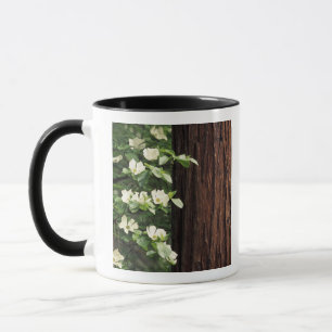 North America, USA, California, Yosemite 3 Mug