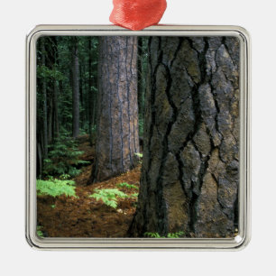 North America, USA, California, Yosemite Metal Tree Decoration