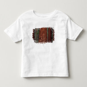North America, USA, California, Yosemite NP, 2 Toddler T-Shirt