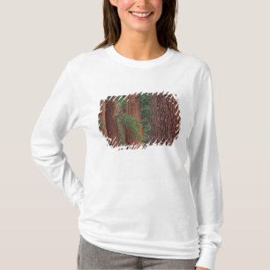 North America, USA, California, Yosemite NP, T-Shirt