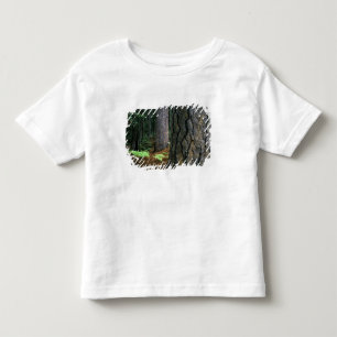 North America, USA, California, Yosemite Toddler T-Shirt