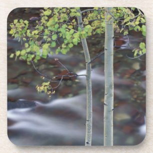 North America, USA, Colorado, San Juan Coaster