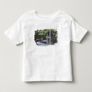 North America, USA, Colorado, San Juan Toddler T-Shirt