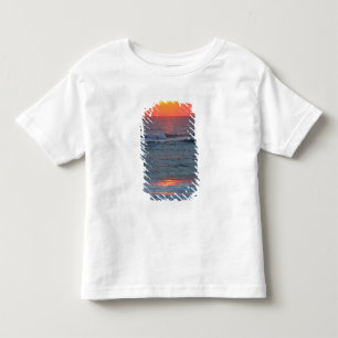 North America, USA, Florida, Canaveral Toddler T-Shirt