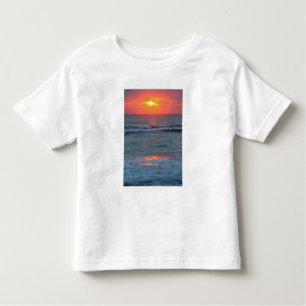 North America, USA, Florida, Canaveral Toddler T-Shirt