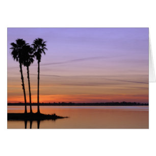 North America, USA, Florida, Mt. Dora, a trio
