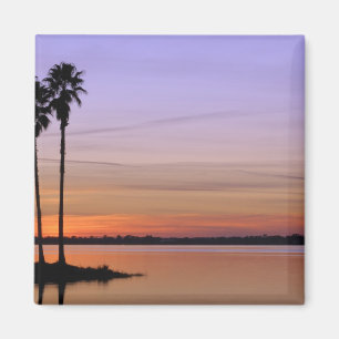 North America, USA, Florida, Mt. Dora, a trio Magnet