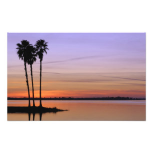 North America, USA, Florida, Mt. Dora, a trio Photo Print