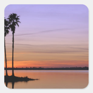 North America, USA, Florida, Mt. Dora, a trio Square Sticker