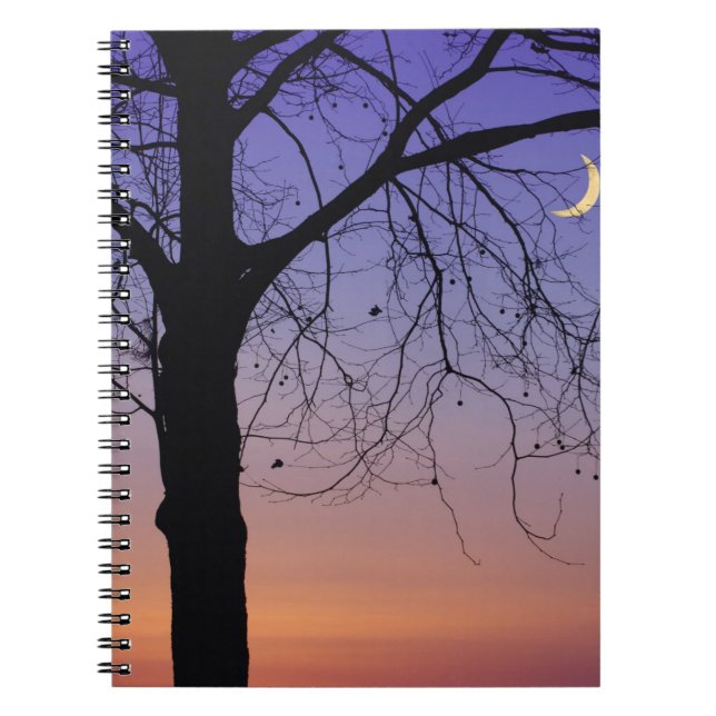 North America, USA, Florida, Mt. Dora, the Notebook (Front)