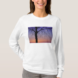 North America, USA, Florida, Mt. Dora, the T-Shirt