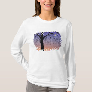 North America, USA, Florida, Mt. Dora, the T-Shirt