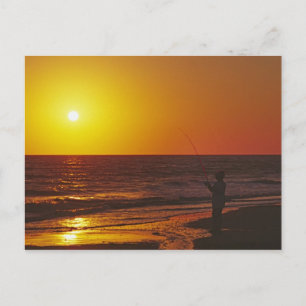 North America, USA, Florida, Sanibel Island. Postcard