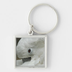 North America, USA, Florida, St. Augustine Key Ring