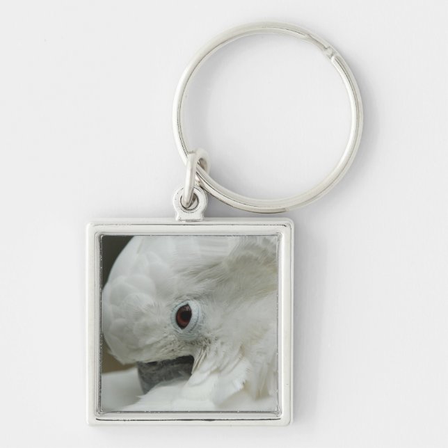 North America, USA, Florida, St. Augustine Key Ring (Front)